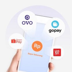 Ini Dia Contoh Fintech di Indonesia yang Wajib Kamu Tahu