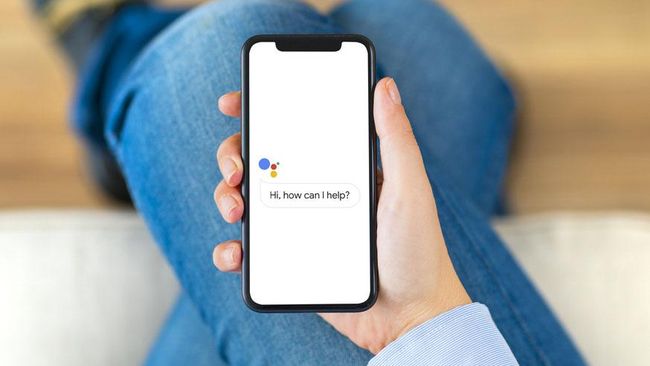 pengaturan google assistant